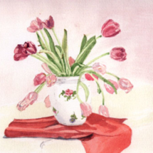 pinktulips